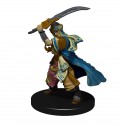 Pathfinder Battles: Iconic Heroes Evolved - Miniature Game
