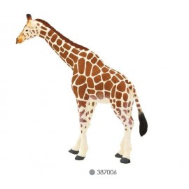 Giraffe Femelle