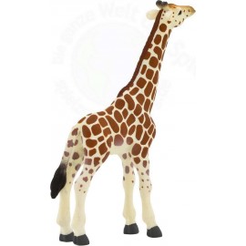 Giraffe Veau