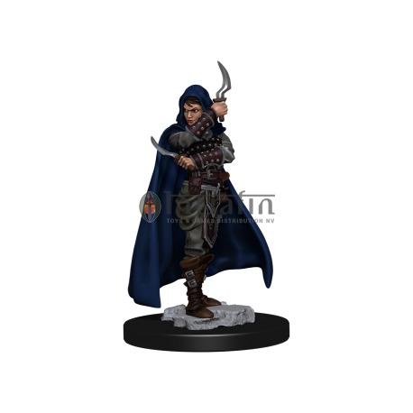 Pathfinder Battles: Premium Painted Figure - Human Rogue Female