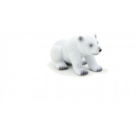 Polar Bear Cub Sitting