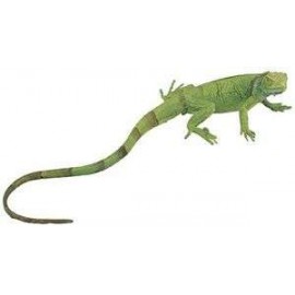 Green Iguana Baby Incredible Creat.