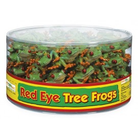 Red Eye Tree Frogs 72p